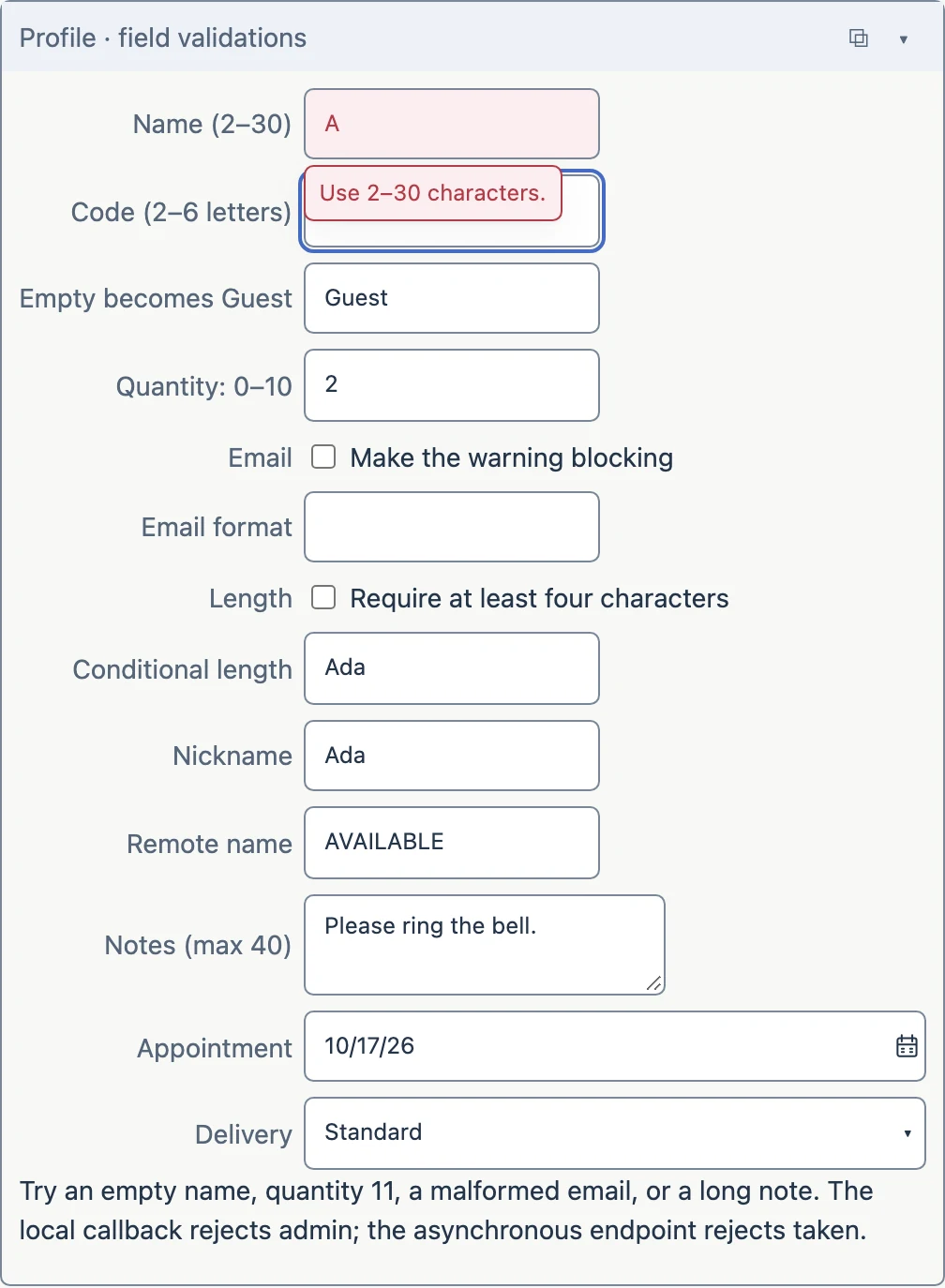 Real validation example: a one-letter name is rejected and highlighted while other form fields remain aligned.